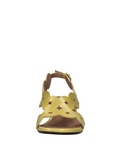  CHIE MIHARA | NEIDE SUCRELEMON